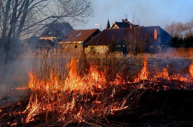 Осторожно: сухая трава!